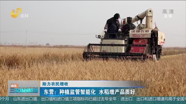 【助力农民增收】东营：种植监管智能化 水稻增产品质好