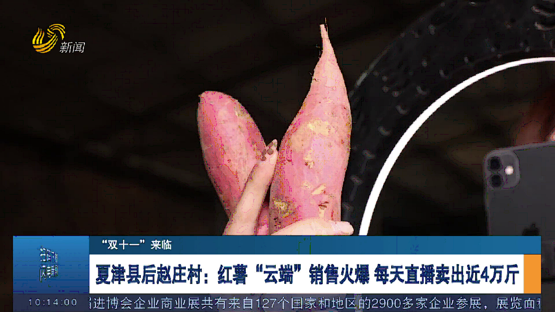 【“双十一”来临】夏津县后赵庄村：红薯“云端”销售火爆 每天直播卖出近4万斤