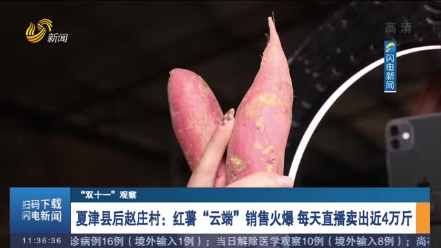 【“双十一”观察】夏津县后赵庄村：红薯“云端”销售火爆 每天直播卖出近4万斤