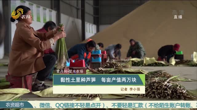 【史丹利·星光农场】黏性土里种芦笋 每亩产值两万块