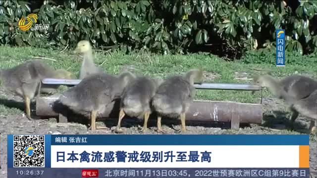 日本禽流感警戒级别升至最高