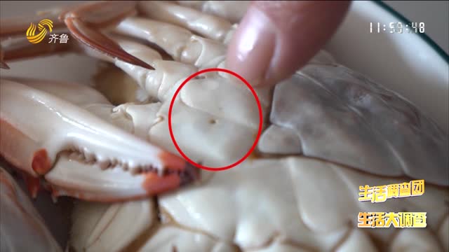 2021年11月13日《生活大调查》：螃蟹身上有“针孔”竟是注水蟹？