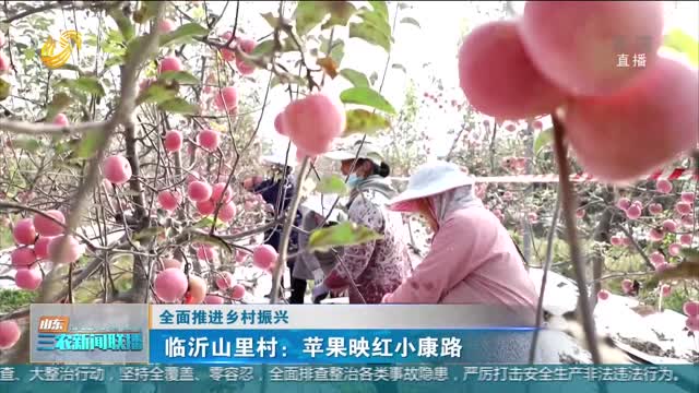 【全面推进乡村振兴】临沂山里村：苹果映红小康路