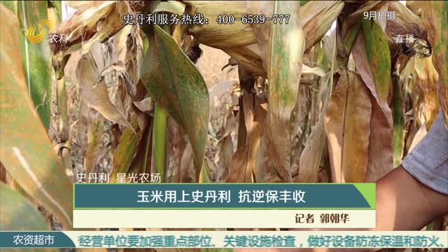【史丹利星光农场】玉米用上史丹利 抗逆保丰收