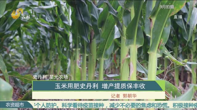【史丹利·星光农场】玉米用肥史丹利 增产提质保丰收