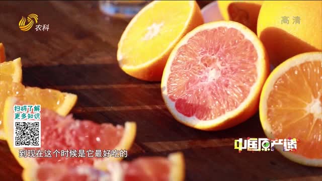 20211117《中国原产递》：秭归脐橙