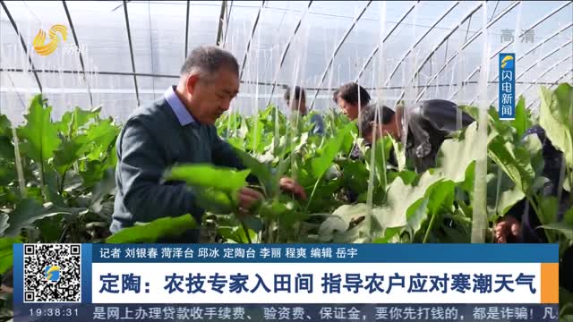 【寒潮来袭】定陶：农技专家入田间 指导农户应对寒潮天气
