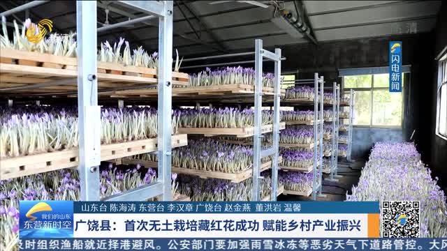 广饶县：首次无土栽培藏红花成功 赋能乡村产业振兴
