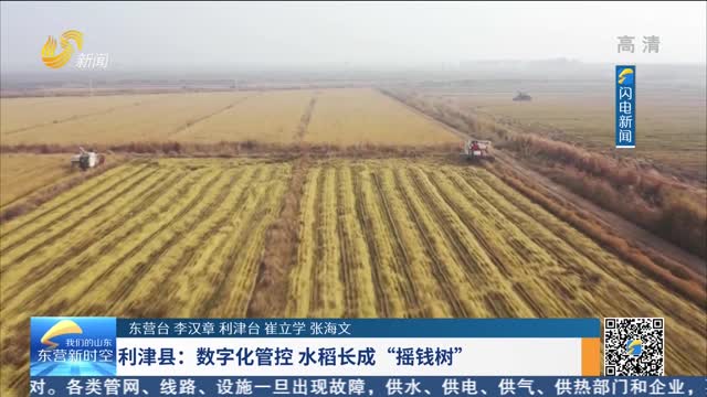 利津县：数字化管控 水稻长成“摇钱树”