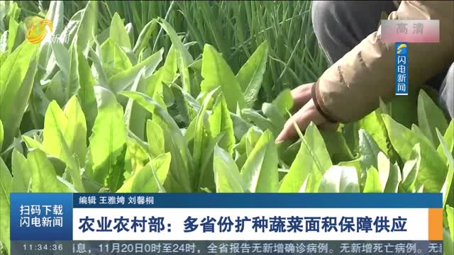 【寒潮来袭】农业农村部：多省份扩种蔬菜面积保障供应