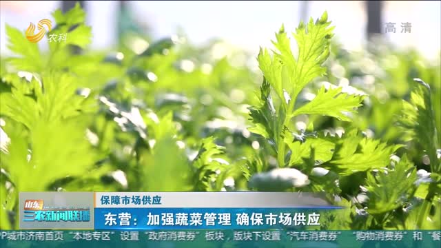 【保障市场供应】东营：加强蔬菜管理 确保市场供应