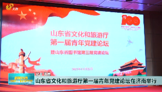 山东省文化和旅游厅第一届青年党建论坛在济南举行