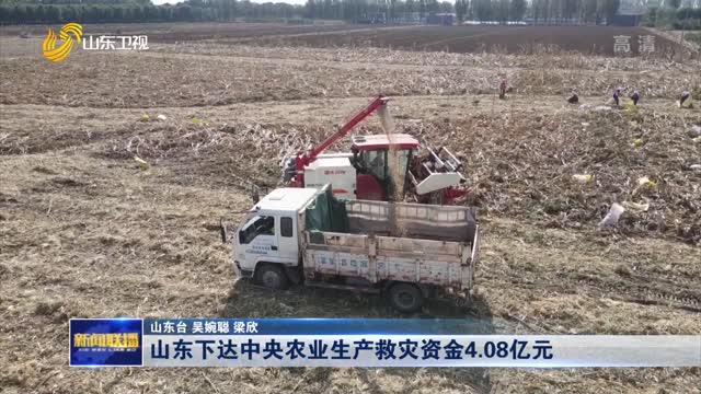山东下达中央农业生产救灾资金4.08亿元
