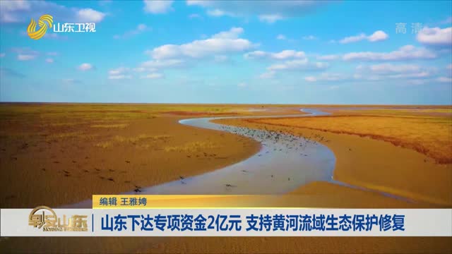 山东下达专项资金2亿元 支持黄河流域生态保护修复