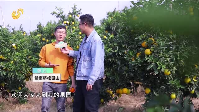20211129《中国原产递》：赣南脐橙