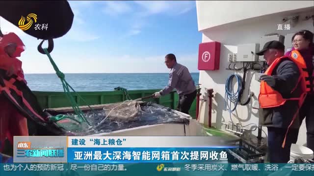 【建设“海上粮仓”】亚洲最大深海智能网箱首次提网收鱼