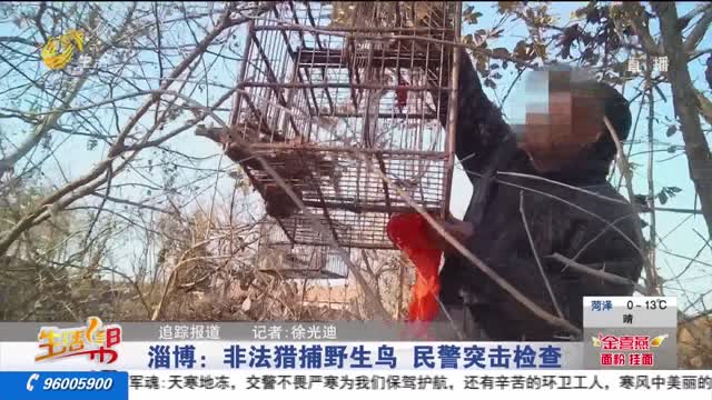【追踪报道】淄博：非法猎捕野生鸟 民警突击检查