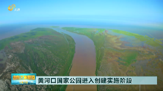 黄河口国家公园进入创建实施阶段