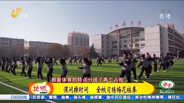聊城：传统武术梅花拳走进校园