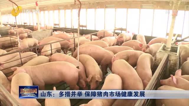 山东：多措并举 保障猪肉市场健康发展
