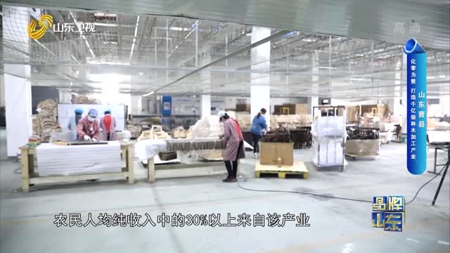 【品牌馨对话】山东曹县：化零为整 打造千亿级林木加工产业