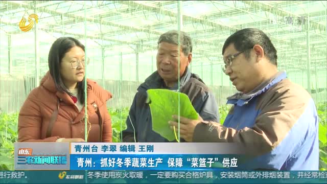 【冬季农业生产】青州：抓好冬季蔬菜生产 保障“菜篮子”供应