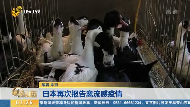 日本再次报告禽流感疫情