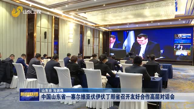 中国山东省—塞尔维亚伏伊伏丁那省召开友好合作高层对话会