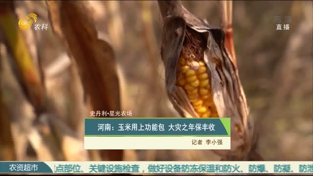 【史丹利·星光农场】河南：玉米用上功能包 大灾之年保丰收