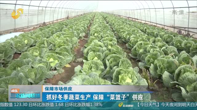 【保障市场供应】抓好冬季蔬菜生产 保障“菜篮子”供应