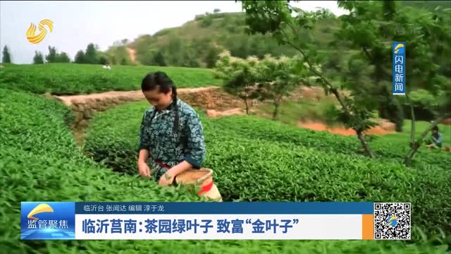 20211210《市场监管在线》：临沂莒南——茶园绿叶子 致富“金叶子”