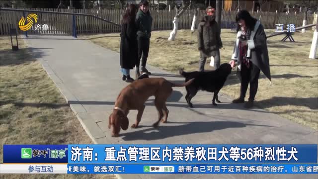 济南：重点管理区内禁养秋田犬等56种烈性犬