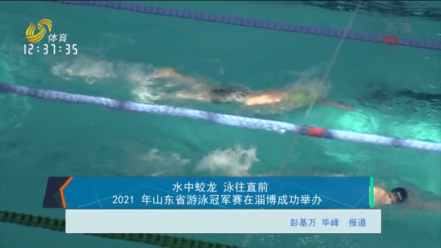 水中蛟龙 泳往直前 2021年山东省游泳冠军赛在淄博成功举办