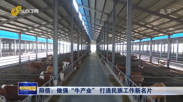 阳信：做强“牛产业” 打造民族工作新名片