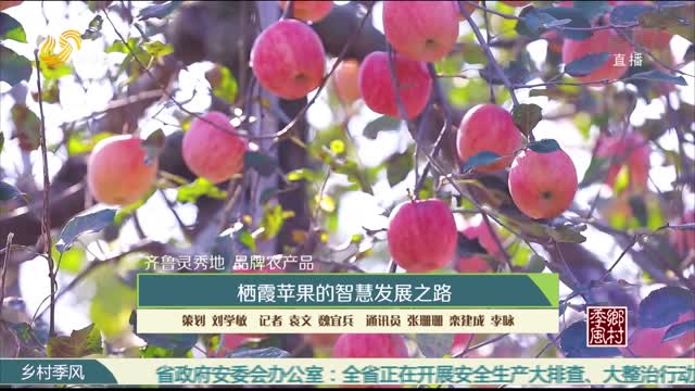 【齐鲁灵秀地 品牌农产品】栖霞苹果的智慧发展之路