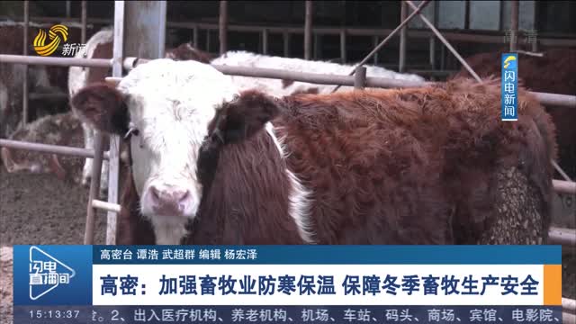 【寒潮来袭】高密：加强畜牧业防寒保温 保障冬季畜牧生产安全
