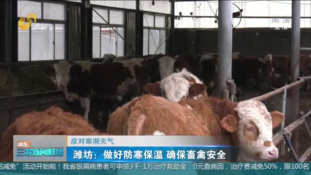 【应对寒潮天气】潍坊：做好防寒保温 确保畜禽安全