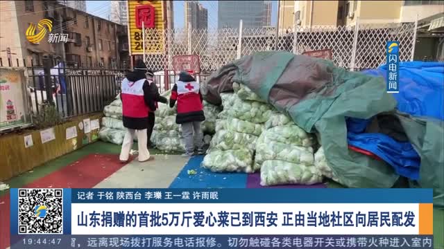 【厚道齐鲁地 美德山东人】山东捐赠的首批5万斤爱心菜已到西安 正由当地社区向居民配发