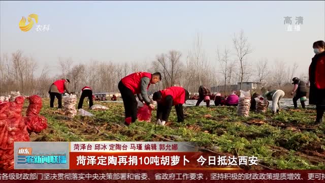 【众志成城 抗击疫情】菏泽定陶再捐10吨胡萝卜 今日抵达西安