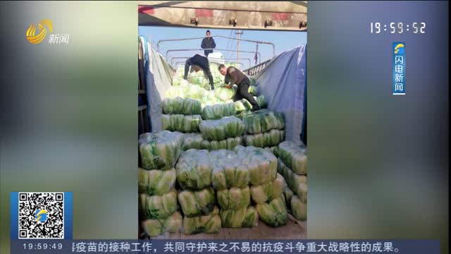 【厚道齐鲁地 美德山东人】淄博：夫妻俩向西安捐赠10吨白菜