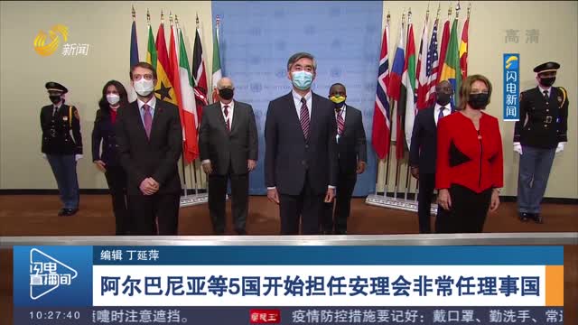 阿尔巴尼亚等5国开始担任安理会非常任理事国