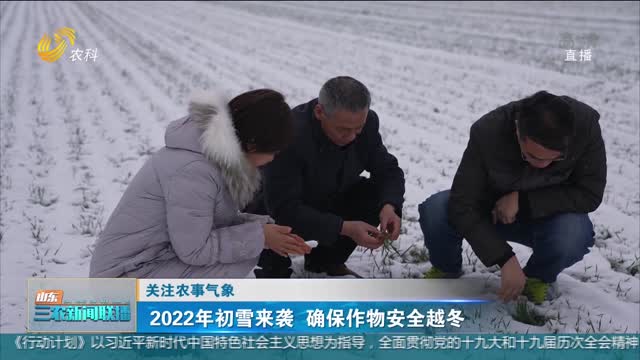 【关注农事气象】2022年初雪来袭 确保作物安全越冬