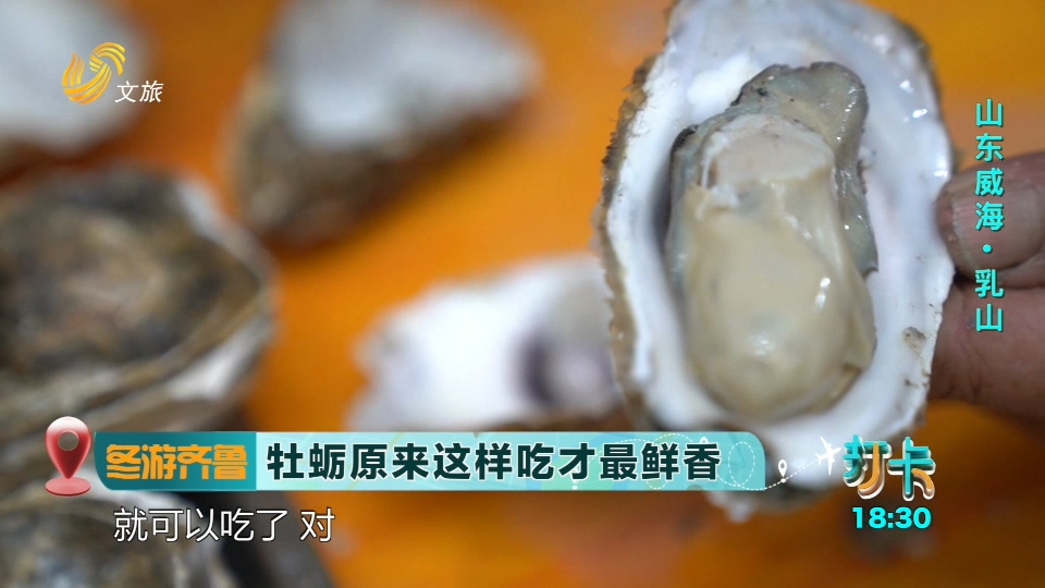 【冬游齐鲁】牡蛎原来这样吃才最鲜香