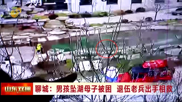 聊城：男孩坠湖母子被困 退伍老兵出手相救