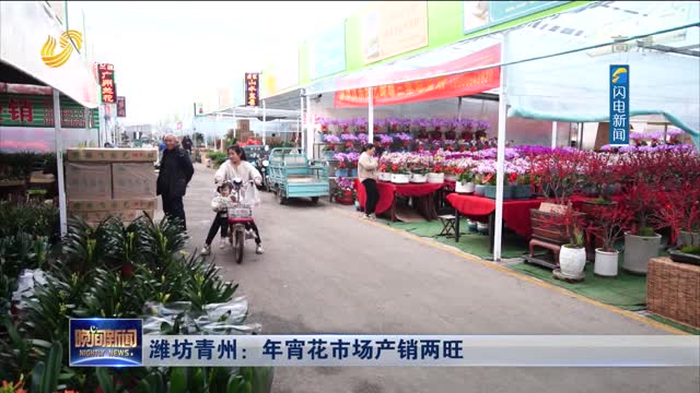 潍坊青州：年宵花市场产销两旺