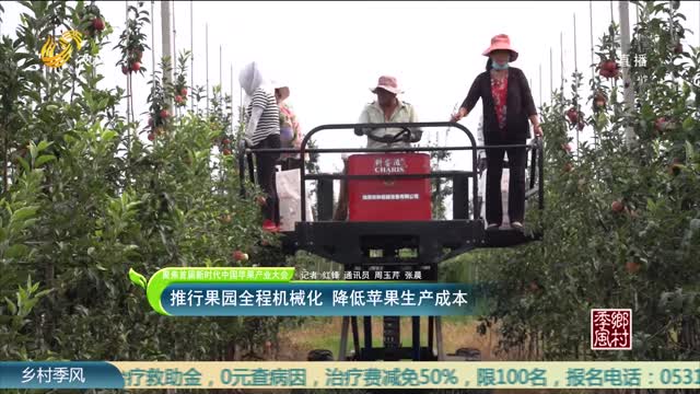 【聚焦首屆新時代中國蘋果產業大會】推行果園全程機械化 降低蘋果生產成本