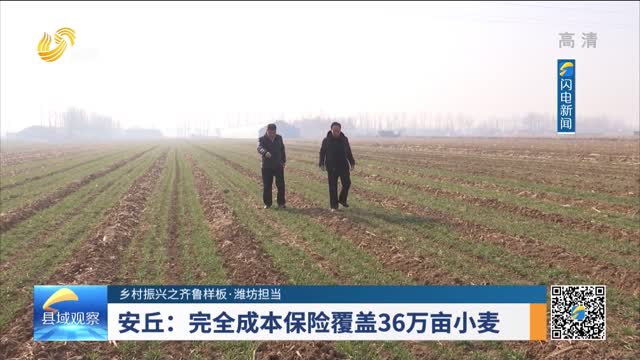 【乡村振兴之齐鲁样板·潍坊担当】安丘：完全成本保险覆盖36万亩小麦