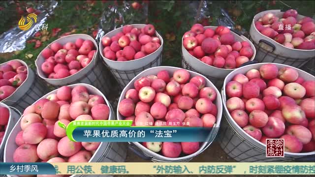 【聚焦首届新时代中国苹果产业大会】苹果优质高价的”法宝“