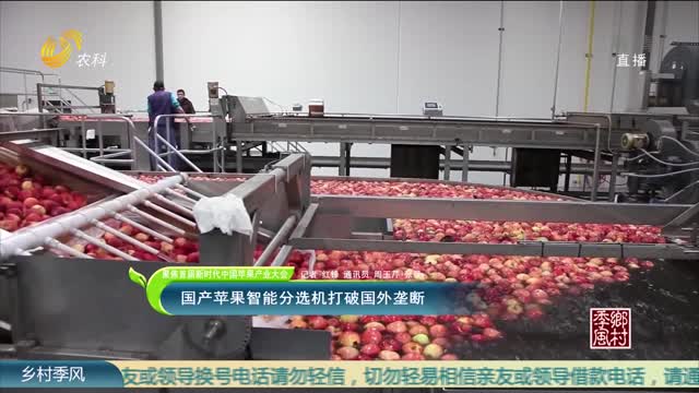 【聚焦首届新时代中国苹果产业大会】国产苹果智能分选机打破国外垄断