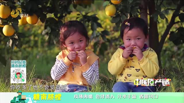20220114《中國原產遞》：贛南臍橙